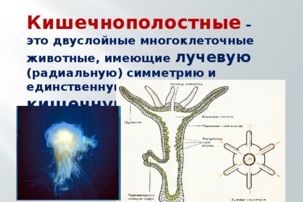 Кракен наркологический