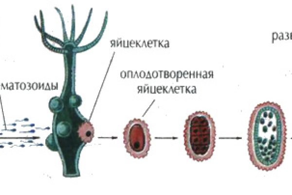 Кракен сайт ссылка kraken clear com